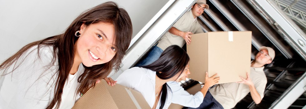 Professional Removalists Marble Hill